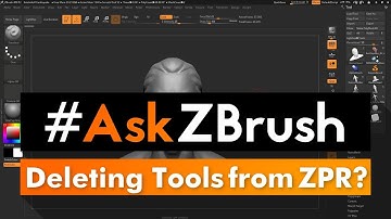 #AskZBrush: “How can I delete Tools that are no longer needed when saving a *.ZPR file?”