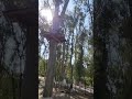 numedia park in tipaza algeria #youtubeshorts #viral #fun #travel #phonk #ciddubbing