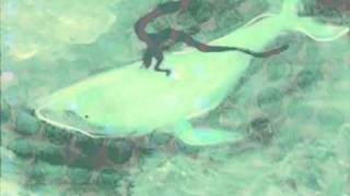 【初音ミク】空飛ぶクジラは眠れぬ誰かを救えるか【オリジナル曲】.flv