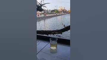 TP Huế // Một buổi chiều đẹp trời - ngồi ngắm cảnh - tronpiu vlog #shorts