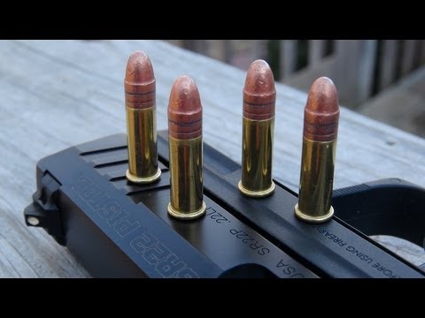 .22 Handgun for Self-Defense?  CCI 40 gr Mini-Mag Test