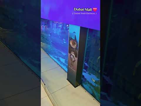 #arabiantravel #atlantisthepalm #dubaitour #emiratestour #etihadmuseum #uaetourism