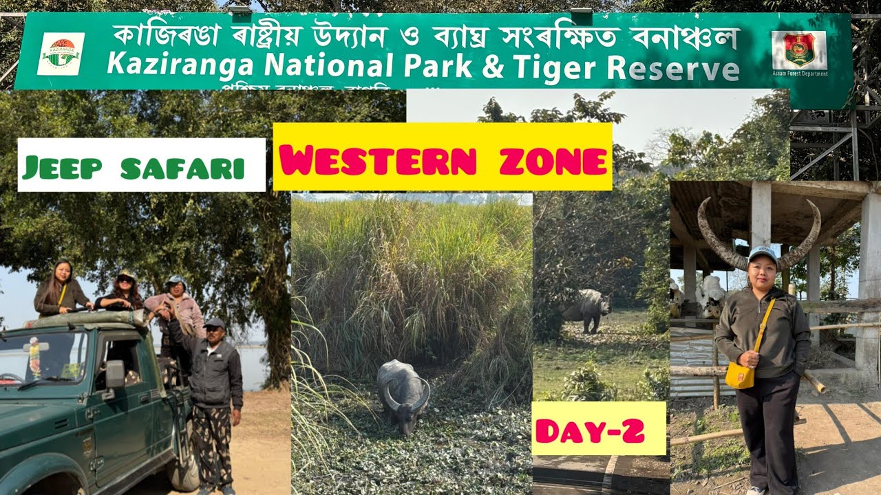 Day-2 @Kaziranga || western zone || jeep safari || Assam || Vlog