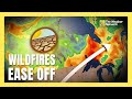 Canada’s Wildfire Season Takes a Short Breather, for Now