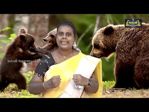 Class 9 English Little cyclone : The story of a grizzly cub -;Kalvi Tv Videos - 11.03.22