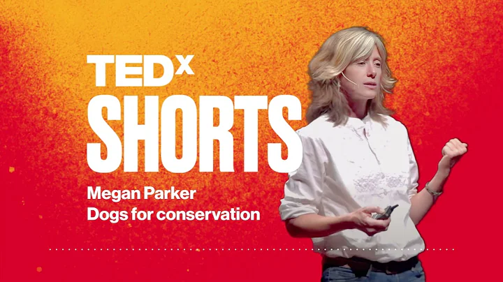 Dogs for conservation