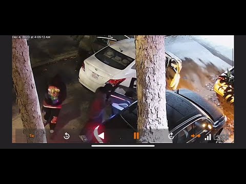 Thieves break into 10+ cars in San Francisco neighborhood - VIDEO