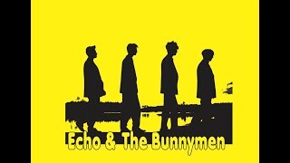 Echo &amp; the Bunnymen ♫ Reseña &amp; Tributo ♫ MG