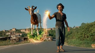 Who Made The Qurbani Goat Disappear?