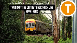 14/4/2022 - Trainspotting at Normanhurst and Mount Kuring-gai (FOR FREE!)