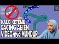 Ketemu Alien Videonya Mundur Worms Zone Challenge | Ngakak Banget | Game Cacing Alaska