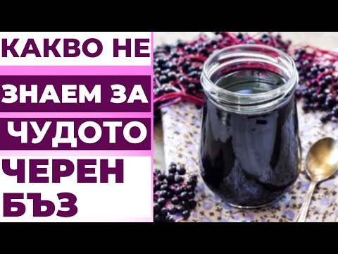 Видео: Какви са културите, отглеждани през зимния сезон?