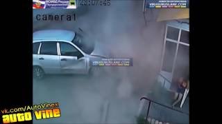 Auto Vine 217
