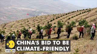 China's bid to be climate-friendly, intensifies efforts to reduce carbon emissions | WION