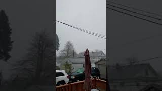 20180504_165856.mp4