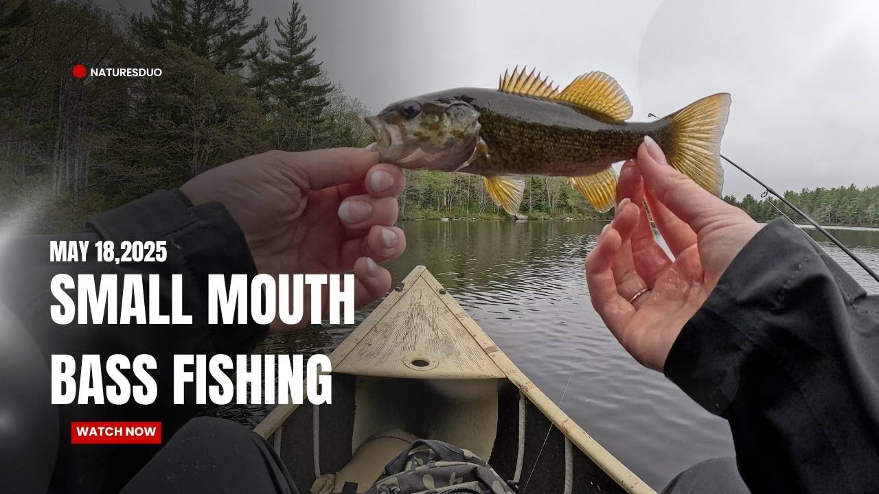 Small mouth bass fishing- Nova Scotia
