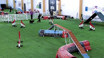 International Agility Training Week - Front Crossing by trapstacles  - preview