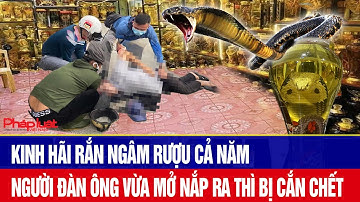 Kinh hãi rắn ngâm rượu cả năm, người đàn ông vừa mở nắp ra thì bị cắn chết