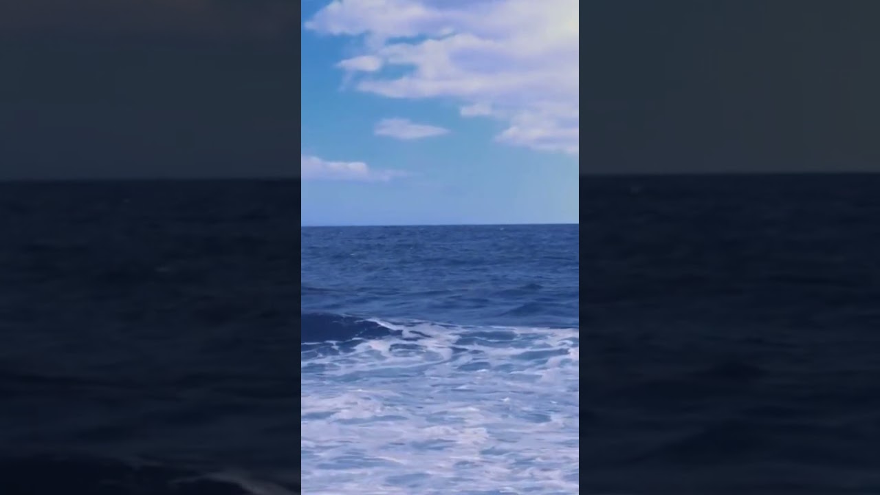 My heart loved you ❤️❤️  #love #verses #poetrycommunity