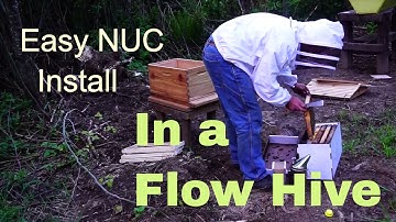 Homestead Beekeeping: Installing a NUC in a Flow Hive