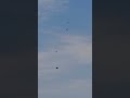 Army Golden Knights parachuting at the North Alabama Airfest September 2025 #armyaviation #airborn