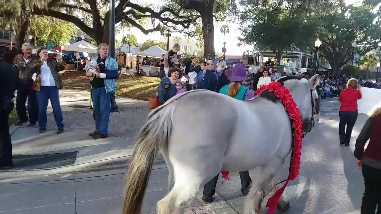 Ocala Florida International Horse Parade and Car Show YouTube