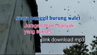 suara panggil burung walet||andalan para juragan walet