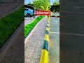 🌿 Amazing Garden Transformation | Grass Cutting Before &amp; After ✂️