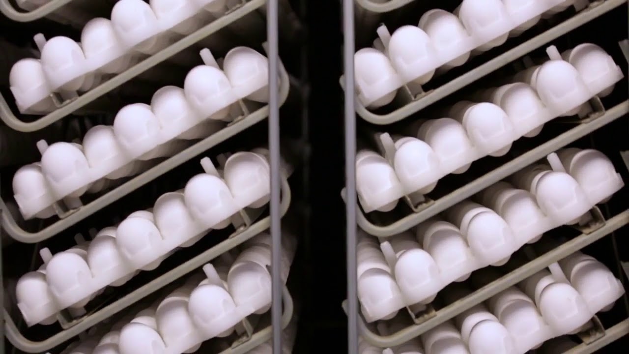 jamesway incubadoras etapa única y nacedoras