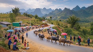 CHỢ TÂY BẮC BƯỚC VÀO CUỐI NĂM - Nhộn Nhịp Dê Núi, Lợn Cắp Nách, Nông Sản Núi Rừng Và Ẩm Thực