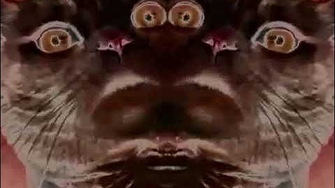 Preview 2 Numa cat V9 Effects (700 subscribers video special)