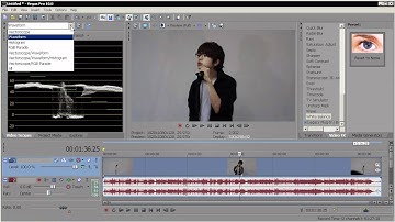 SONY VEGAS TUTORIAL - COLOR CORRECTION