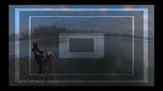 2 Gennaio a feeder in Po