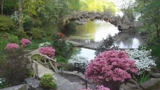 OLD MILL IN SPRINGTIME 2010