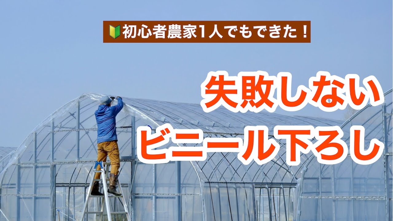 ビニールハウス　引取り取り外し出来る方 ビニールハウス 引取り取り外し出来る方 【公式通販】