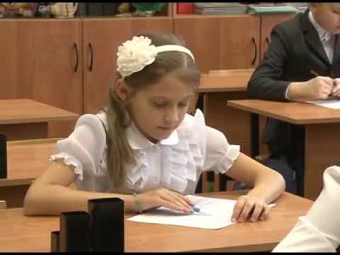 задания для Всероссийской олимпиады «Русский мишка Тедди»
