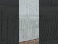 10 public question paper