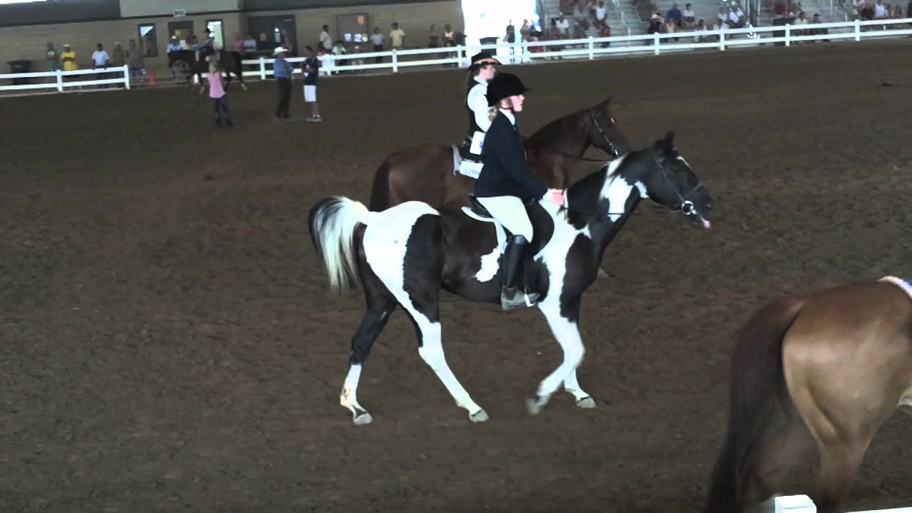 Horse Show Delaware State Fair YouTube