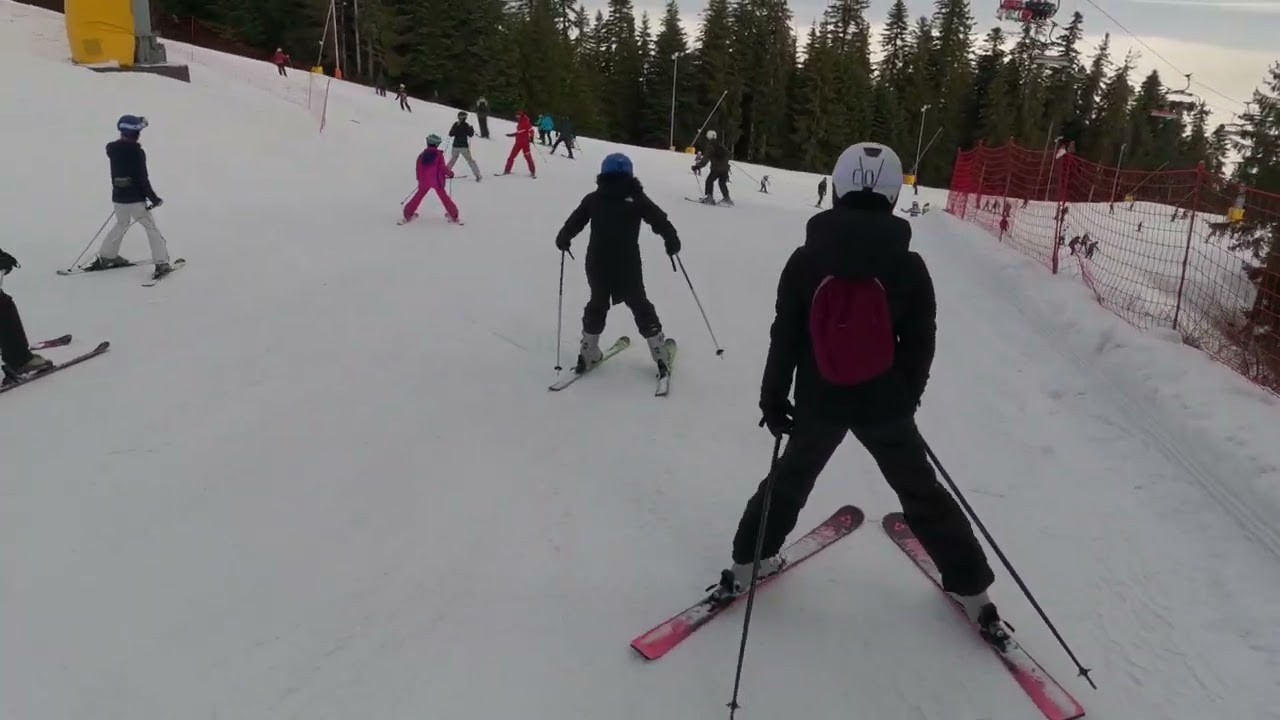 Боровец черница 16.02.2026