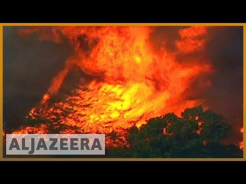 Families take EU to court over climate change | Al Jazeera English