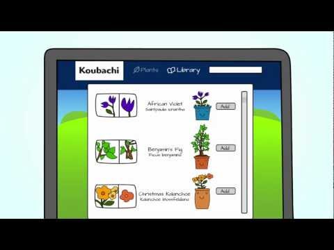 Koubachi - Give your plant a voice!