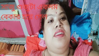 সাজু গুজুটা আমার বৃথা হয়ে গেল