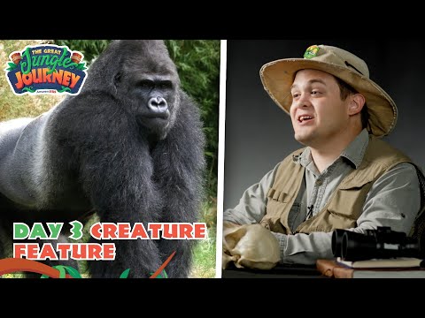 Strong Silverback Gorilla! Creature Feature: Day 3 | The Great Jungle Journey VBS