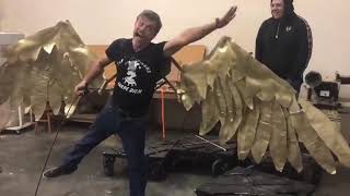 Pneumatic wings