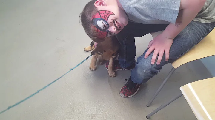 I got this puppy but I had give it away