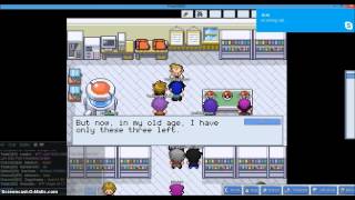 PokeMMO part 1