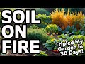 Forget Yeast! How This Million Microbe Method Tripled My Garden in 30 Days