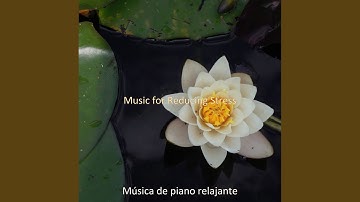 Scintillating Soundscape for Meditating at Home