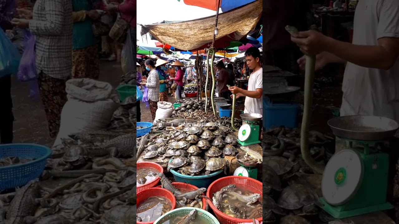 Understanding the Wildlife Trade in Local Markets@fahrurradhi-ai