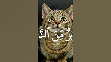 #تلاوة_خاشعة#تلاوات #القرآن_الكريم #ياسر_الدوسري #quran #fyp #foryou #tiktok #explore #اكسبلور #لايك